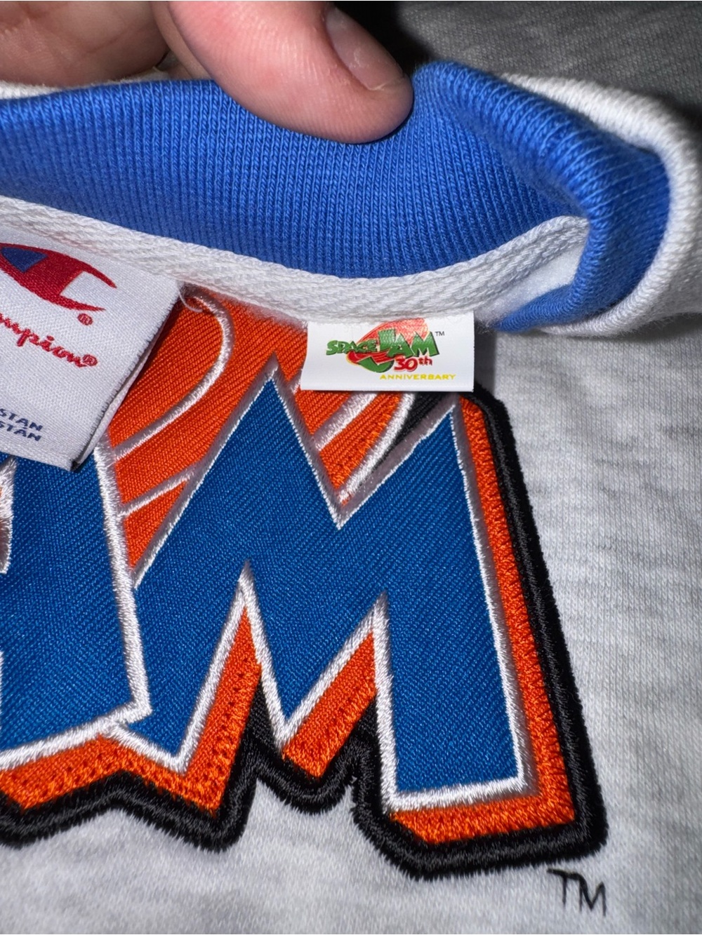 SPACE JAM - Picture 7 of 8